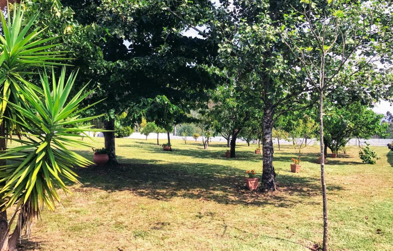 Casa Da Barrosa Villa Caminha Dış mekan fotoğraf